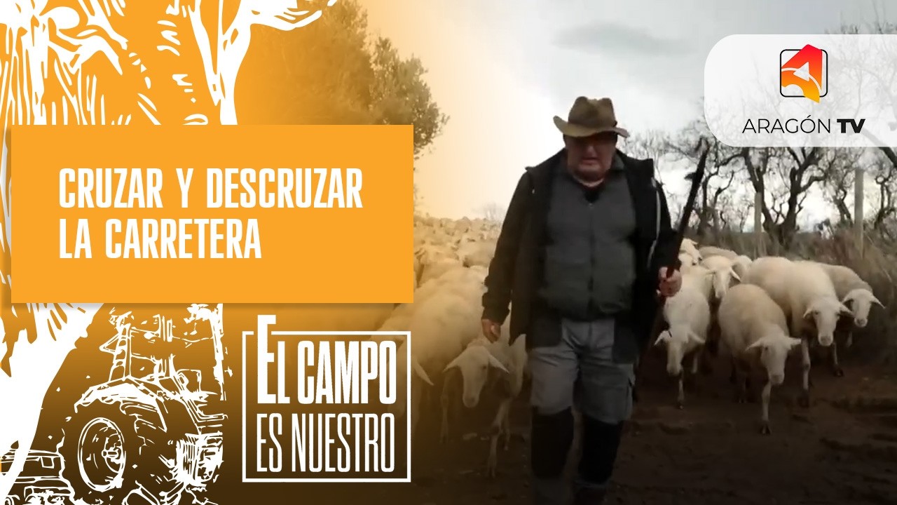 Cruzar y descruzar la carretera