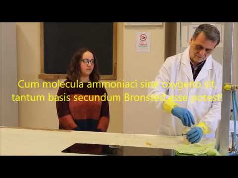 EXPERIMENTA 7