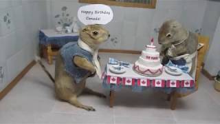Canada 150 | Torrington Gopher Hole Museum