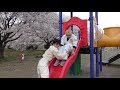【コント】すべり台教室