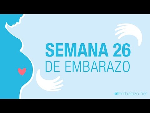 Vídeo: 26 Semanas De Embarazo: Síntomas, Consejos Y Más