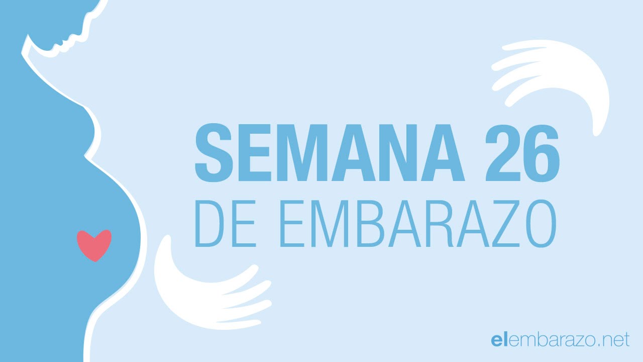 como esta un bebe a las 26 semanas de gestacion