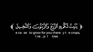 كروما شاشة سوداء قرآن كريم تلاوة من النحل القارئ عمر عبدالله 