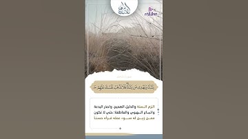 أَفَمَن زُيِّنَ لَهُ سُوءُ عَمَلِهِ فَرَآهُ حَسَنًا || القارئ الشيخ د. نجيب الصبي