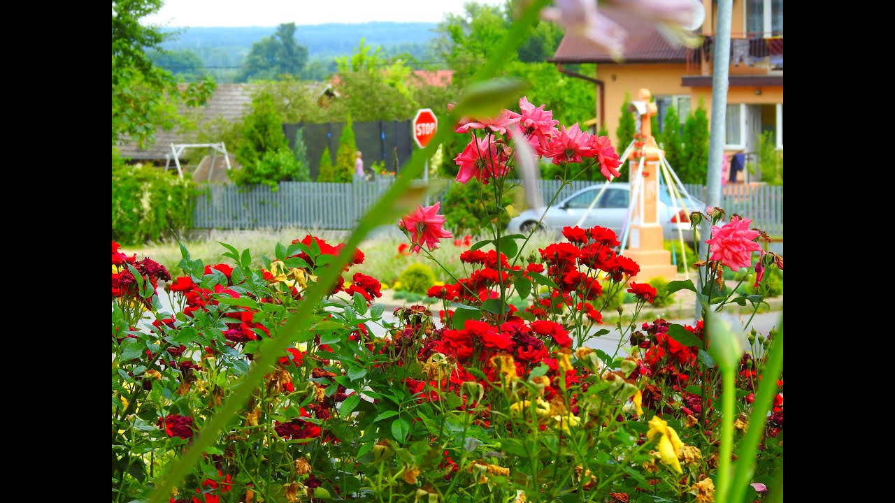POŁANIEC PEŁEN ZIELENI - SKWER PRZY ULICY TADEUSZA KOŚCIUSZKI