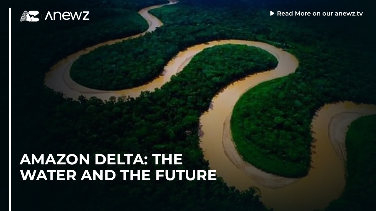 Amazon Delta Example Amazon Delta: The water and the future - YouTube