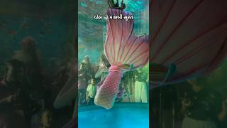 વ્હેલ 🐋 માછલી સુરત ✨🔥 Gujarati Mini vlog#minivlog #shorts #gujrativlog #dailyvlog #surat #fishing