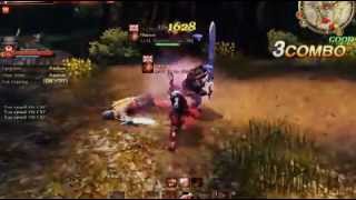 Berseker Gameplay c9 Guild illusion