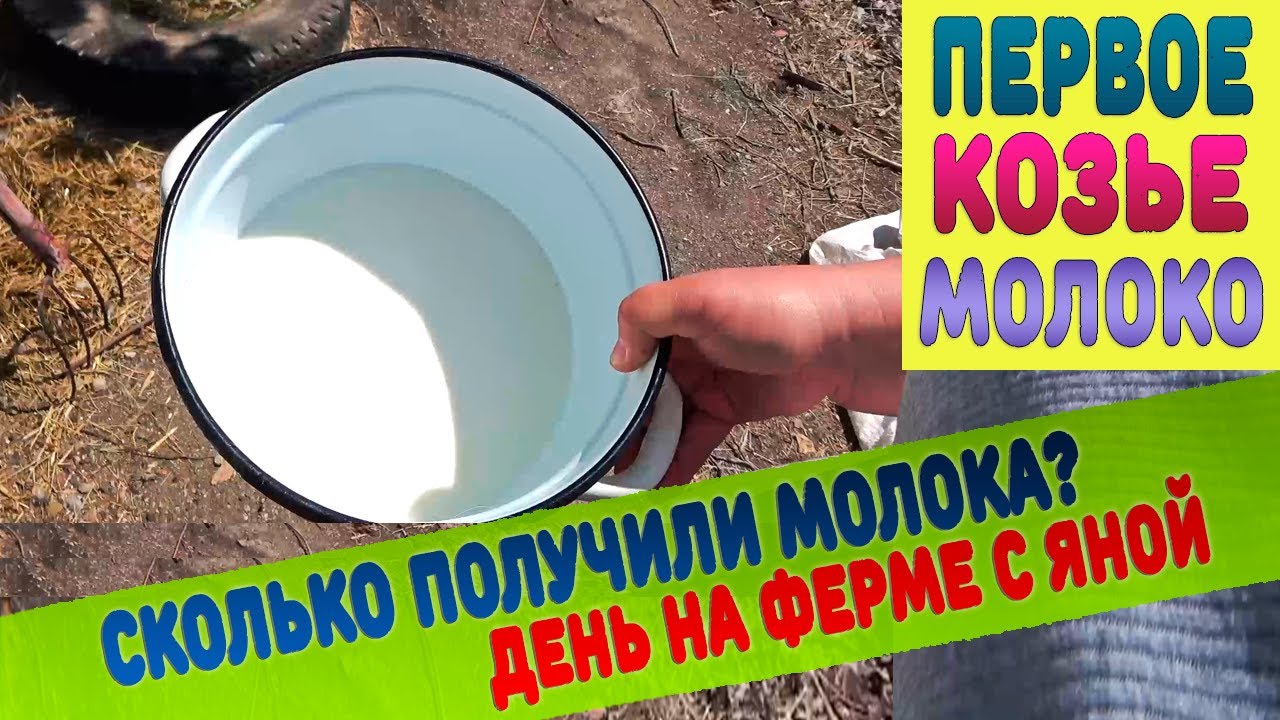 Раф сколько молока