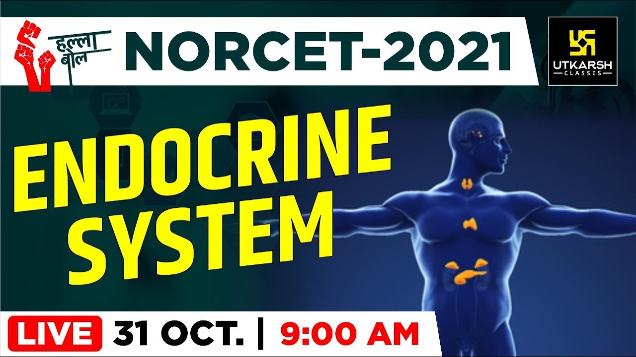 Endocrine system #1 || Important Questions || NORCET || AIIMS || By Raju Sir