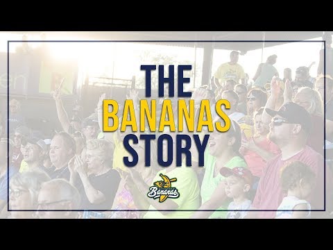 Things to Know About the Savannah Bananas - Maury County Source