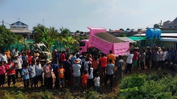 Nice VIDEO a New project!! landfill by team dump truck with skill dozer push soil clearing forest