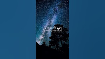 محمد اللحيدان تلاوة جميلة 📿 #محمد_اللحيدان #اكسبلور #المصحف #تلاوة #تلاوة_خاشعة #تلاوة_هادئة