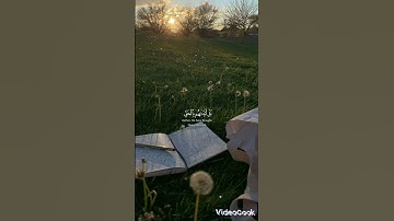 قرآن كريم #قرآن #اكسبلور #اسلام #تيك_توك #duet #لايك #ترند #متابعه #دويتو #يوتيوب
