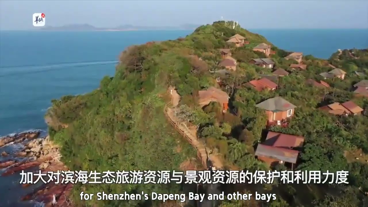 Shenzhen's Dapeng Bay: Create a pattern for the Beautiful Bay