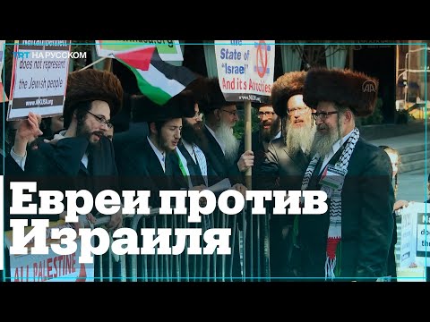 Ортодоксальные евреи вышли на протест к ООН