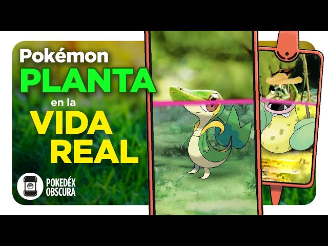 Ficción científica - Pokémon planta en el mundo real 