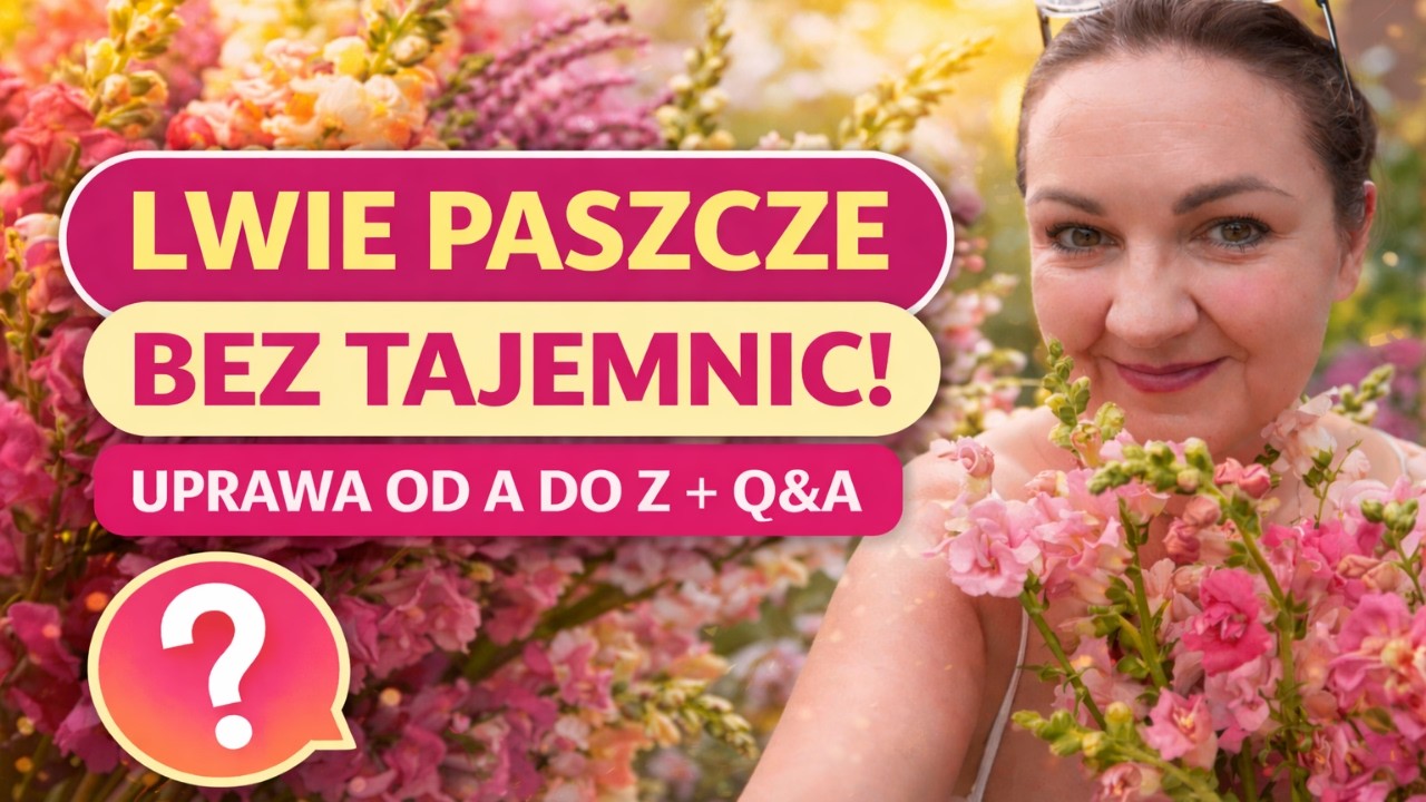 Lwie paszcze bez tajemnic! 🌸 Uprawa od A do Z + Q&A