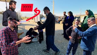 Download Lagu Challenges of the Peren Family in Cattle Farming and Livestock Raising 🌾🐄 MP3