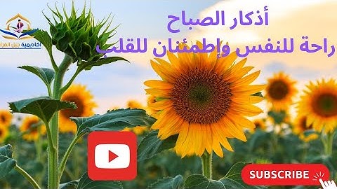 أذكار الصباح بصوت عذب وهادئ#حصن نفسك#أبدأ يومك بذكر الله