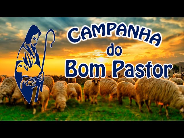 Halloween no Bom Pastor – APAECM