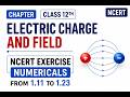 ELECTRIC CHARGE AND FIELD || NCERT NUMERICAL SOLUTION || FROM 1.11 TO 1.23