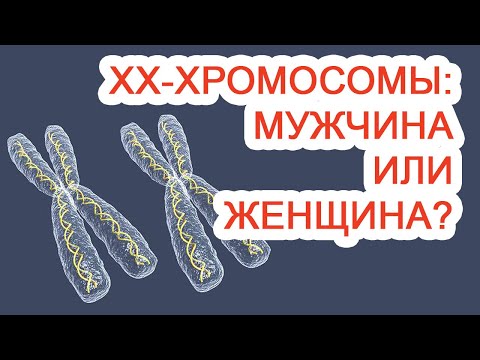 ХХ-хромосомы: мужчина или женщина? / Доктор Черепанов