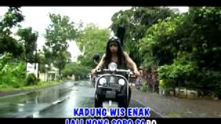 demi-kroso enak(banyuwangi).MP4