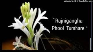 Rajnigandha phool tumhare// Guitar Instrumental Cover//Abhimanyu Nayek