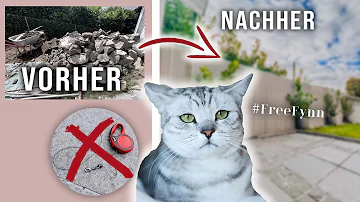 Wie macht man seinen Garten Katzensicher?