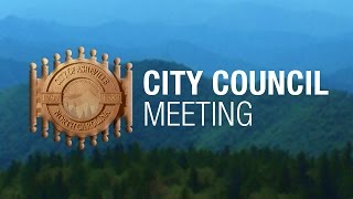 City Council Meeting - March 28, 2017