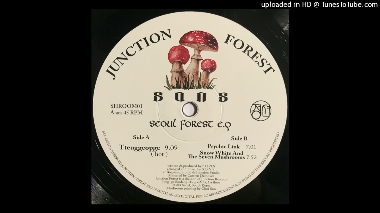 洋楽 S.O.N.S Seoul Forest EP S O N S - Seoul Forest E.P | Junction Forest (SHROOM01)