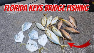 Florida Keys Bridge Fishing Clean & Cook