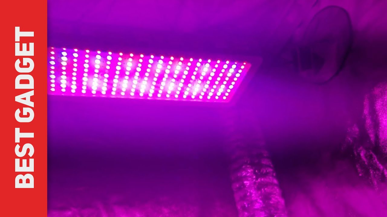 Best LED Grow Light 2023 - King Plus 3000W LED Grow Light