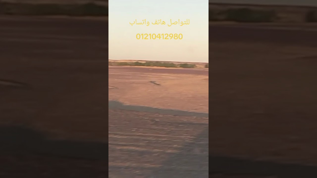  رمضان كريم عليكم ✅5 الاف سعر الفدان قابل للتفاوض 🌴✅ للتواصل فون واتس 01210412980