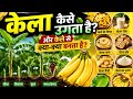 🔥 केले का असली राज! खेती से बनने वाली चीज़ें देखकर दंग रह जाओगे 🍌