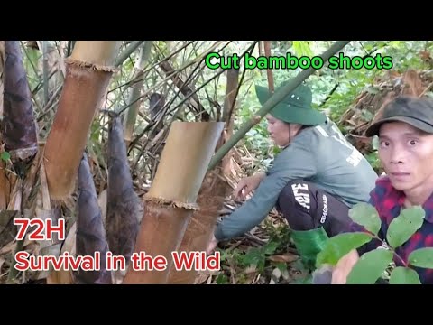 Two brothers go into the forest to cut bamboo shoots. - YouTube