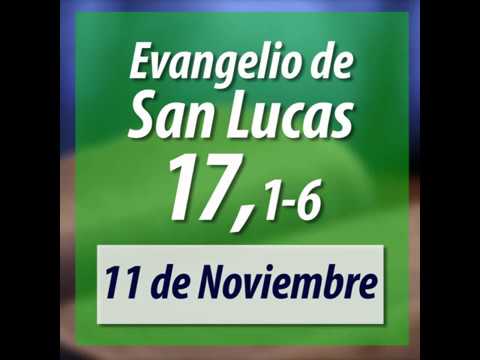 Evangelio De Hoy Lunes 11112019 San Lucas 17 1 6 Recíbelo En Tu Whatsapp 573004011900