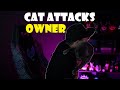 Deadmau5 Stream Highlights #9 (weird encounters, tesla burn)