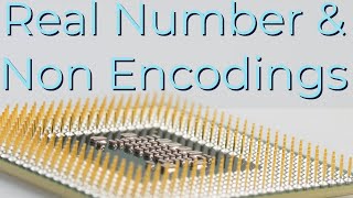 Intel Manual 30 Real Number and Non Number Encodings