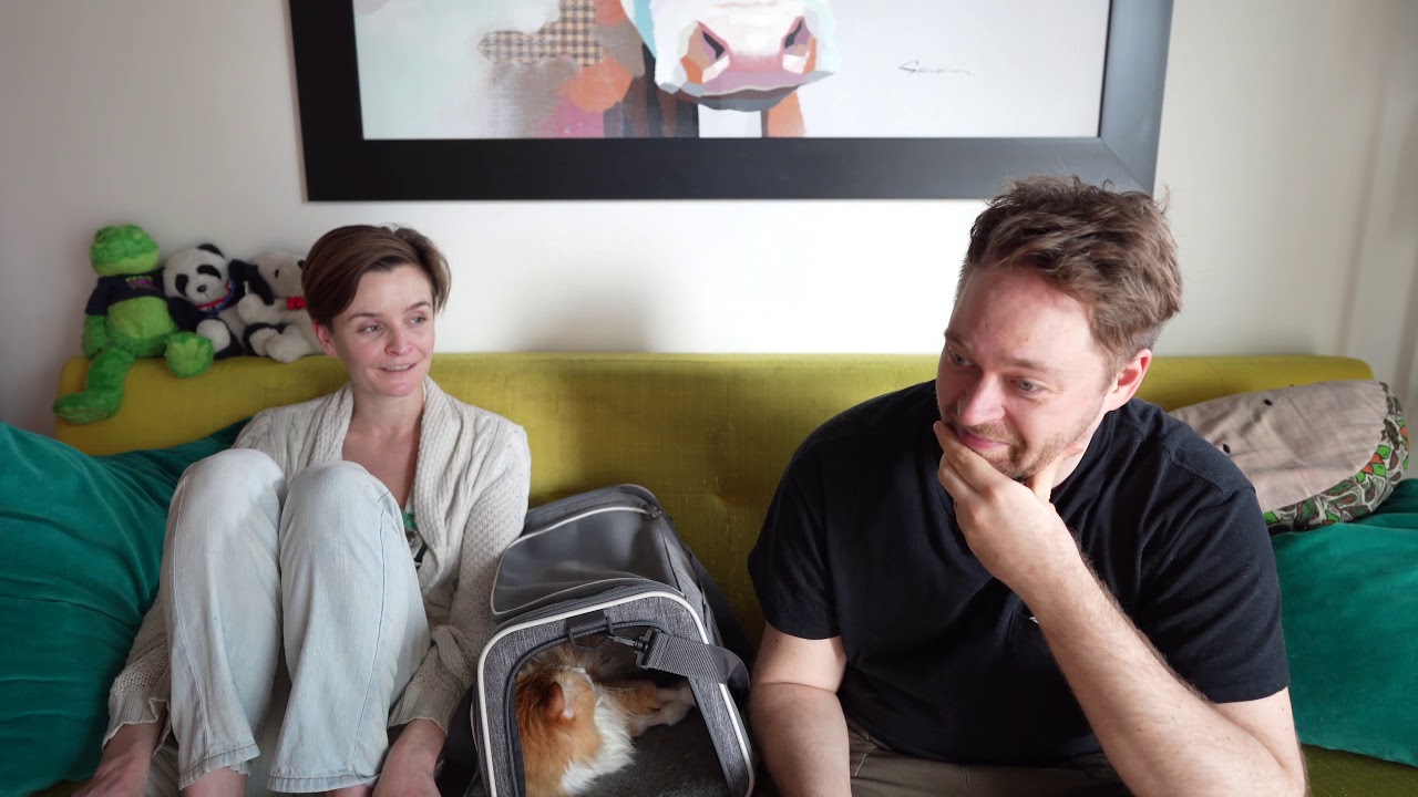 Quarantine Life - BZ Vlogs 11