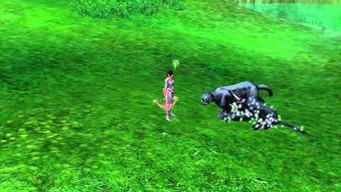 Last Chaos Exrogue skill - Multiple Attack