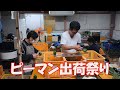 ピーマン出荷調整20/7/9#1018