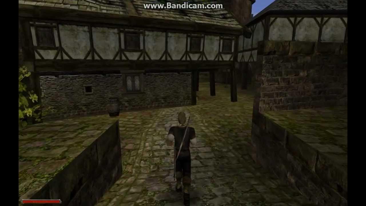 Готика 2 аб квесты 4 й главы. Готика ополчение. Флаг хориниса. Готика 2 ополченец. Готика 2 ополчение.