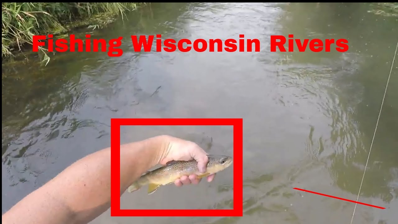 American Trout fishing Wisconsin Trout Fisherman Fishing Wisconsin