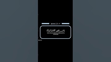 تلك حدود الله " | القارئ :  الشيخ ياسر الدوسري || السورة : النساء | الآية : [ ١٣ - ١٤ ] |