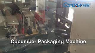 fresh cucumber flow packing machine with bag,fresh cucumber bag wrapping machine