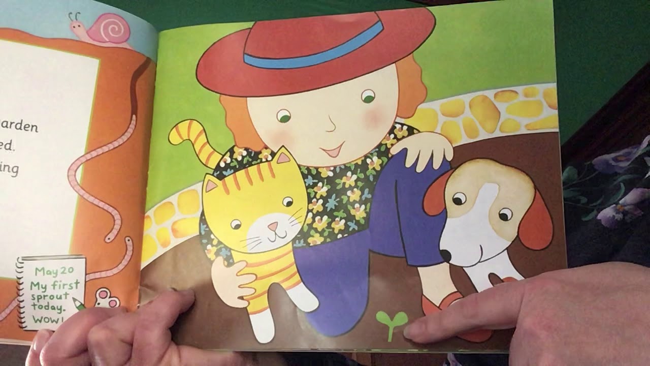 Today’s Story Zinnias Flower Garden YouTube
