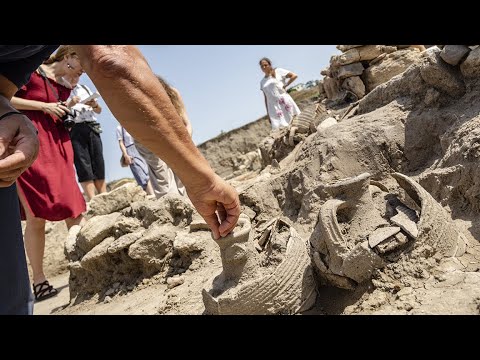 Останки древнейшей синагоги России обнаружены археологами Фанагории