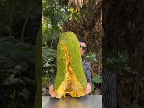 Open a big